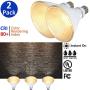 AmeriLuck 5000K Daylight Outdoor PAR38 LED Flood Light Bulb, 90W Equiv. 13W Non-Dimmable (2 Pack)