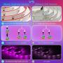 HRDJ Led Strip Lights 65.6 Feet, Music Sync Color Changing Led Light Strip 5050 SMD Flexible Rope Lights with 24Key Remote APP Control Led Lights for Bedroom Party