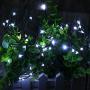 ER CHEN Dimmable LED String Lights Plug in, 33ft 100 LED Waterproof Fairy Lights with Remote, Indoor/Outdoor Copper Wire Christmas Lights for Bedroom, Patio, Garden, Yard (Green Wire, Cool White)