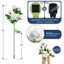 Solar Garden Lights Outdoor - Upgraded Realistic LED Solar Powered Rose Lights Flower Stake, Waterproof Solar Decorative Lights for Patio Pathway Courtyard Garden Lawn (White)