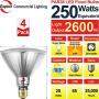 Explux 250W Equivalent LED PAR38 Flood Light Bulbs, 2600 Lumens, 3000K 4-Pack, Outdoor Full-Glass Weatherproof, Dimmable, Bright White