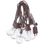 SkrLights Outdoor Patio String Lights,10Ft Edison Bulb String Lights for Patio Garden Porch Backyard Party Deck Yard(Plus 1 Extra Bulbs)-Brown