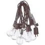 SkrLights Outdoor Patio String Lights,10Ft Edison Bulb String Lights for Patio Garden Porch Backyard Party Deck Yard(Plus 1 Extra Bulbs)-Brown
