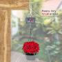 50 Pack Lights Hanger Hooks, JODEIAN Home Christmas String Lights Hanging Hooks with 50 Phillips Screws, Easy Release Outdoor Wire, Fairy Led Lights, Rope Light, Fits Indoor Outdoor New Year Party etc