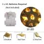 Joyathome Natural Conch LED String Lights, 10 Ft 10 LED Battery Powered Waterproof Low Heat Silver Copper Wire Beach Theme Fairy Lights for Indoor Outdoor Decoration Projects (Warm White, Timer)