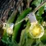 Afirst Outdoor String Lights 50 Ft with 52 Globe Bulbs Patio String Lights UL Certification Weatherproof Outdoor Hanging Lights for Garden/Backyard Party/Wedding-White Cord