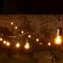 Bulbrite 14 ft, 10-Socket Decorative Kit with Clear Incandescent STRING10/E26/BLACK-S14KT Indoor and Outdoor String Lights, Foot, Black