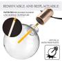 LED String Lights Indoor G50 24ft with 20 Bulbs Weatherproof Lights for Bedroom Living Room Transformer Extension, Spare Filament, Infrared Remote Control L.A.NOVA