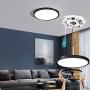 TALOYA Flush Mount LED Ceiling Light Fixture Black,20W (12 Inch-1 Pack) Ceiling Lamp Surface Mount for Kitchen Bedroom Utility Closet Room,3 Color Temperatures in One (3000k/4000k/6500k)