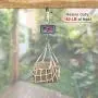 SELEWARE 40 Pieces Q-Hanger, Home Christmas Lights Hanger Hooks with Nails for Easy Release Outdoor Wire and Fairy Light