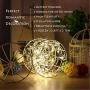 BINZET Fairy Lights Battery Operated - 33Ft 100LED Sliver Wire String Lights Waterproof 8 Modes LED Lighting String with Remote Control for Christmas Wedding Party Home DIY Decor, Warm White 2 Pack