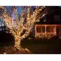 OZS-115Ft 300LED Super Bright Christmas String Lights Indoor/Outdoor, Waterproof 8 Modes (UL Certified), Green Wire Christmas Lights for Xmas Tree Garden Patio Decor (Warm White Unextendable) OZS-115Ft 300LED Super Bright Christmas String Lights Indoor/Outdoor, Waterproof 8 Modes (UL Certified), Green Wire Christmas Lights for Xmas Tree Garden Patio Decor (Warm White Unextendable)