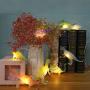 8PCS Jurassic Dinosaur String Lights 6.5FT Battery Operated Novelty Lights with 6hrs Timer Ideal for Kids Gift Home Bedroom Party Birthday Decoration (Warm White LED)