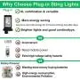 LiyuanQ Star String Lights, 100 LED Plug in String Lights 33 feet 8 Modes Star Fairy Lights Waterproof Twinkle String Lights for Wedding Party Christmas Tree Garden Indoor Outdoor Decor (Warm White) LiyuanQ Star String Lights, 100 LED Plug in String Lights 33 feet 8 Modes Star Fairy Lights Waterproof Twinkle String Lights for Wedding Party Christmas Tree Garden Indoor Outdoor Decor (Warm White)
