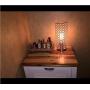 ZEEFO Crystal Table Lamp, Nightstand Decorative Room Desk Lamp, Night Light Lamp, Table Lamps for Bedroom, Living Room, Kitchen, Dining Room (Silver)
