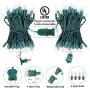 Clear Christmas String Lights 100 Count 26.5 Feet Incandescent Bulb Mini Lights for Indoor Xmas Tree Garland Birthday Wedding Party Festival Decoration, 2 Pack Green Wire