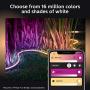 Philips Hue Smart Outdoor Lightstrip, 2m/7ft, (Voice Compatible with Amazon Alexa, Apple Homekit, and Google Home, Hue Hub Sold Separately), White (555904)