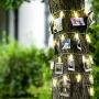 Photo Clip String Lights (16.4ft), 40 LED & Remote, Battery Powered – Gift for Teen Girl – Cute Teenage VSCO Stuff as Room Decor – Warm White Fairy Lights for Bedroom – Unique Dorm Decoration