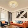 Ganeed LED Ceiling Lights Dimmable Acrylic Chandelier with Remote Control 90W 8 Heads Flower Shape Flush Mount Ceiling Lamp for Living Dining Room Kitchen Bedroom(White/3000-6500K)