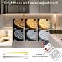 Tunable White LED Strip Light 65.6ft, 1680 LEDs Light Strips 3000K-6000K Dailylight Warm White Dimmable Tape Light, 2835 SMD LED Lights for Bedroom Kitchen Dorm TV Mirror Bar Under Cabinet Ceiling