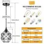 Pendant Lighting, Industrial Light Fixture, Retro Vintage Farmhouse Pendant Lights , Black Metal Cage Hanging Lights, Ceiling Lamp for Kitchen Island, Living Room, Dining Room, Loft, E26 Base, 2-Pack