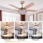 TFCFL 52'' Tropicalfan Ceiling Fan Chandelier with Remote Control and 5 Reversible Blades LED Dimmable Fan Modern and Simple Light Dimmable Timing for Home Decoration Living Room Bedroom,Champagne Gold