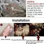 Qunlight Star 304 LED 9.8ftx9.8ft 30V 8 Modes with Memory Window Curtain String Lights Wedding Party Home Garden Bedroom Outdoor Indoor Wall Decorations(Cool White)