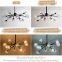 Weesalife Sputnik Chandeliers Modern Crystal Pendant Light Chandelier 12 Lights Mid Century Black Branches Chandeliers Ceiling Light Fixtures for Dining Room Bedroom Living Room G9 Bulbs