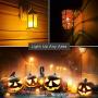 Halloween Light Bulbs - 11 Watt Orange Light Bulbs - Dimmable - E26 Base - by GoodBulb (11 Watt S14, 2 Pack)
