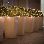 Prextex Christmas 100 Clear White Wire Light Set Christmas Decorations
