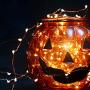 Twinkle Star 200 LED 66ft Halloween Fairy String Lights USB & Adapter Powered, Dimmable Control Starry Black Wire Lights Home Lighting Indoor Outdoor Bedroom Wedding Christmas Party Decoration, Orange