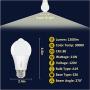 Sengled Motion Sensor Light Outdoor, Dusk to Dawn LED Outdoor Lighting, Motion Activated Auto On/Off A19 3000K 1200lm LED Light Bulb Security Light for Front Door Porch Garage Hallway, 4 Pack 2nd Gen Sengled Motion Sensor Light Outdoor, Dusk to Dawn LED Outdoor Lighting, Motion Activated Auto On/Off A19 3000K 1200lm LED Light Bulb Security Light for Front Door Porch Garage Hallway, 4 Pack 2nd Gen