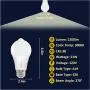 Sengled Motion Sensor Light Outdoor, Dusk to Dawn LED Outdoor Lighting, Motion Activated Auto On/Off A19 3000K 1200lm LED Light Bulb Security Light for Front Door Porch Garage Hallway, 4 Pack 2nd Gen