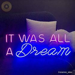 It was All a Dream Neon Light Quote for Your Bedroom Wall Decor| Glass Neon Sign with LED Lights Party Sign for Events