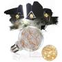 LED Decorative Bulbs,LED Globe Fairy Light Bulb for Ambient Night Lighting, E26 Medium Base Edison with Starry Decorative String Lights for Bathroom, Bedroom, Living Room(G80 Fairy Bulb-4 Pack)