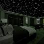 Realistic 3D Domed Glow in The Dark Stars,606 Dots for Starry Sky, Perfect for Kids Bedding Room Gift(606 Stars) (Green)