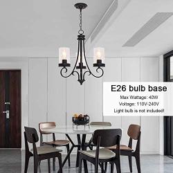 Lucidce Contemporary 3 Lights Chandelier with Clear Glass Shades, Black Finish Lighting Fixtures Ceiling Rustic Farmhouse Dining Room Light Adjustable Chain Pendant Lights Kitchen Island Entryway