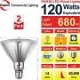 Explux LED PAR38 Amber Flood Light Bulbs, Dimmable, Full-Glass Weatherproof, 120W Equivalent, 2-Pack