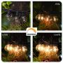 2-Pack 36FT Shatterproof LED G40 String Lights with 54 Dimmable Clear Plastic Globe Vintage Edison Bulbs, Waterproof Outdoor Cafe Fairy Light for Patio Garden Backyard Christmas, Black 72 Feet