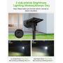 LITOM 12 LEDs Solar Landscape Spotlights, IP67 Waterproof Solar Powered Wall Lights 2-in-1 Wireless Outdoor Solar Landscaping Lights for Yard Garden Driveway Porch Walkway Pool Patio 2 Pack Cold White