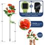 Outdoor Solar Garden Stake Lights,Upgraded LED Solar Powered Lights, Solar Decorative Lights, 2 Modes Flashing Lighting Solar Rose Lights for Patio Pathway Courtyard Garden Lawn (Orange）