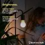 Restful Bedtime Bulb Low-Blue Light Bulb for Healthy Sleep and Baby
