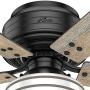 HUNTER 55080 Cedar Key Indoor / Outdoor with LED Light and Remote Control, 52'', Matte Black