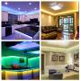 LED Strip Lights, Lampee 32.8ft 12V Flexible RGB Color Changing Tape Lights, 5050 SMD Rope Light Kit with Remote Control and 300 LEDs for Home, Kitchen, Bedroom, DIY Decoration