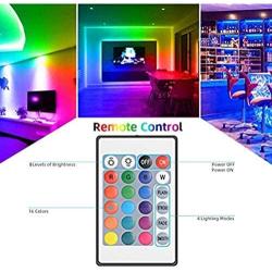 Newooh RGB LED Light Strip LED Color Changing Light with 24 Keys Remote Control