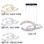 Modern Crystal Chandelier Light Fixtures 2 C Rings LED Pendant Lighting Adjustable Stainless Steel Ceiling Hanging Lamps for Dinning Room Bedroom Kitchen Stairs (Changeable)