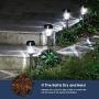 INSOME Solar Path Lights 8 Pack - Pathway Lights Stainless Steel Waterproof - Auto On/Off Wireless LED Landscape Lighting for Lawn Patio Fence Yard Garden Walkway Driveway