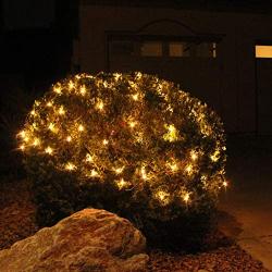 Joiedomi 2x100 Warm White Incandescent Christmas Net Lights for Indoor & Outdoor Decorations, Christmas Events, Christmas Eve Night Decor, Christmas Tree, Bushes