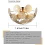 Garwarm Modern Flush Mount Chandelier, Stainless Steel Ceiling Light for Living Room Bedroom Dining Room, 6 Lights Ceiling Light Fixtures Gold Garwarm Modern Flush Mount Chandelier, Stainless Steel Ceiling Light for Living Room Bedroom Dining Room, 6 Lights Ceiling Light Fixtures Gold