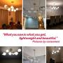 Modo Lighting Modern Gold Chandeliers Brushed Brass Ceiling Pendant Light Globe Glass Hanging Light for Dining Room Living Room Bedroom (7-Light)